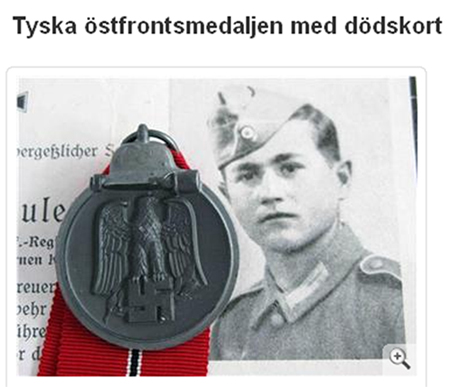 Östfrontmedalj med fel minneskort.jpg